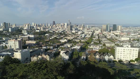 Aerial view of San Francisco city and a park alt