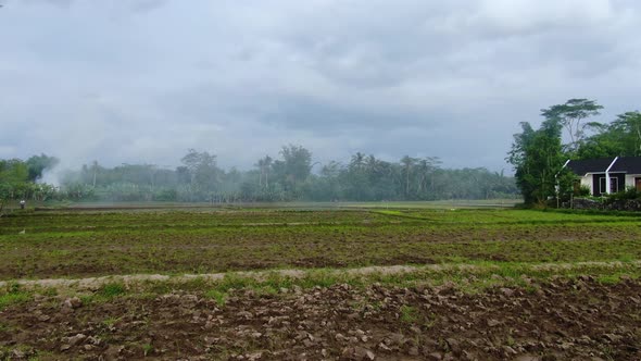 Drone flying over rice field on foggy day, Magelang in Indonesia. Aerial forward low altitude alt