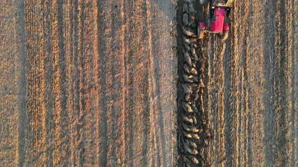 Tractor Preparing Land on Plowed Field for Sowing alt