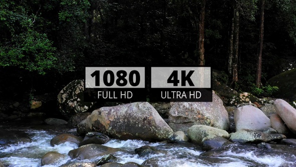 AH - Forest River 03 alt