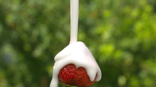 Strawberry With Cream alt
