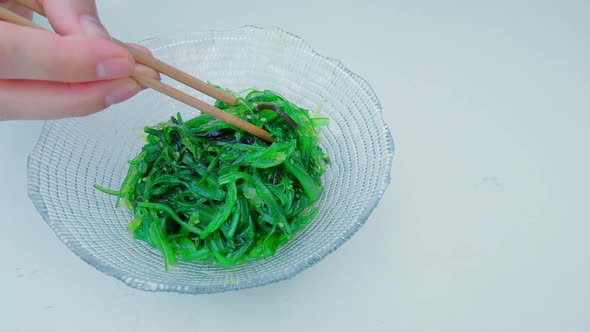 Close Up of an Algae with Chopsticks