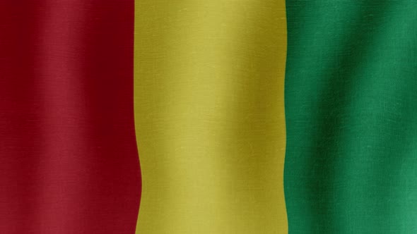 The National Flag of Guinea