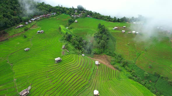 Drone is flying through clouds above rice terraces alt