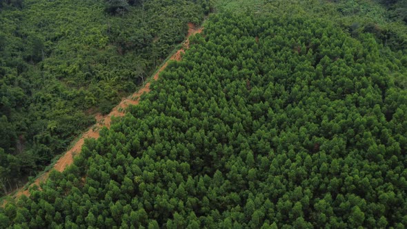 Deforestation on tropical mountainside, agricultural expansion; aerial alt