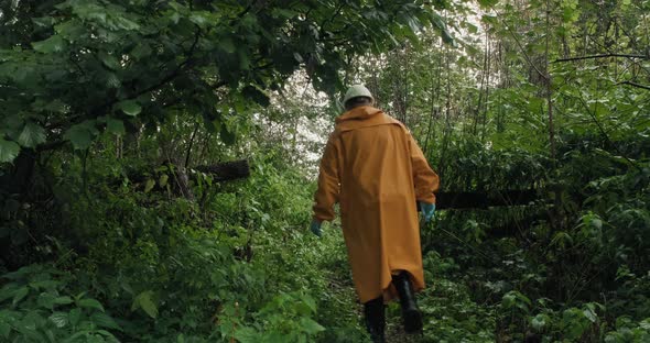 Environmentalist in Hard Hat Yellow Raincoat Walks Through Forest on Wet Grass