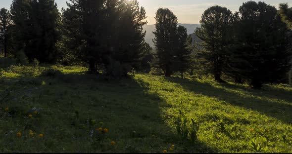 Mountain Meadow Timelapse alt