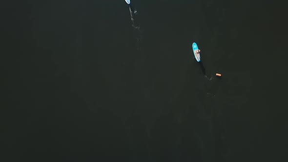 Sports on a Supboard on the River at a Distance From People