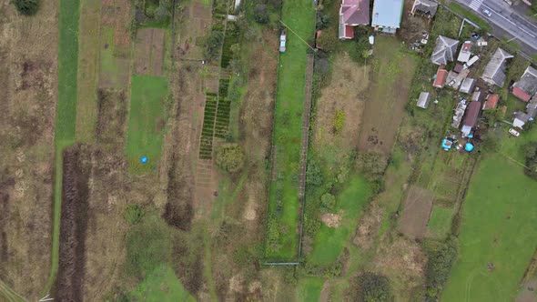 Spring Scenery with Wild Meadow Field on Nature Landscape alt