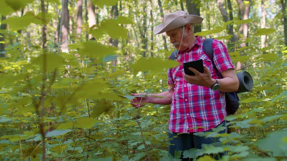 Retired Senior Elderly Grandfather Adventurer Exploring Forest Trees Plants with Her Digital Tablet alt