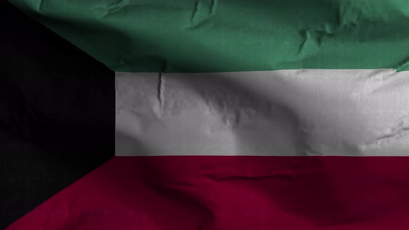 Kuwait Flag Textured Waving Background 4K alt