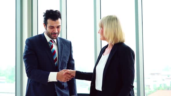 Business People Handshake with Friend at Office alt