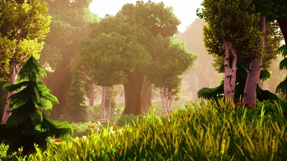 Cartoon Sunbeams Streaming Through the Trees alt