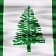 Norfolk Island Flag Waving - VideoHive Item for Sale