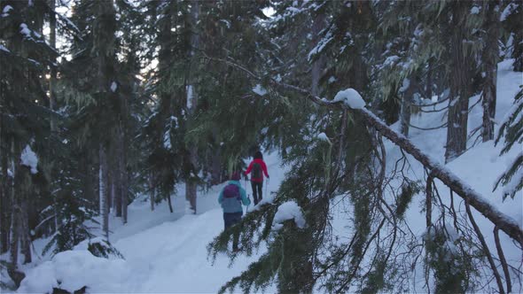 Adventure Girl Friends Hiking in Canadian Mountain Nature alt