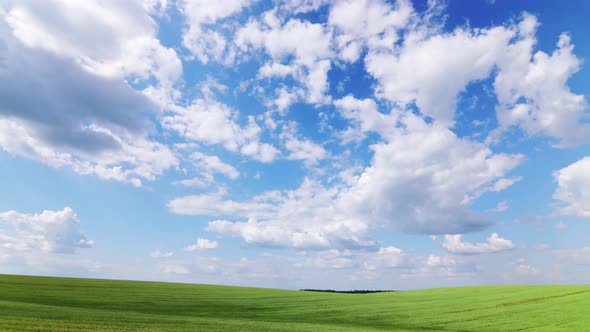 Season Change Wheat Field From Green to Yellow alt