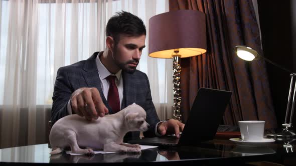Respectable Man Working at Office Table with Puppy alt