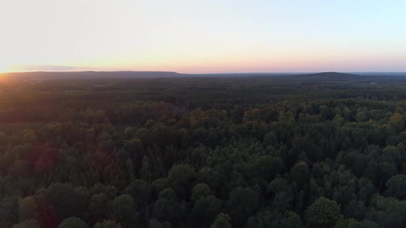 Aerial View of Forest Landscape
