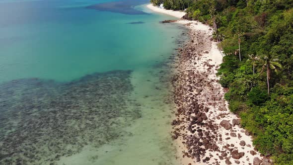 Green Jungle and Stony Beach Near Sea. Tropical Rainforest and Rocks Near Calm Blue Sea alt