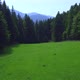 Fly over green mountain meadow and rising over forest with big mountains in background - VideoHive Item for Sale
