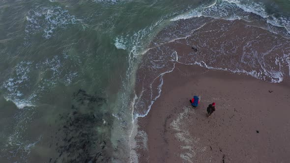 Drone Over People And Seal Along Grenen Sandbar alt