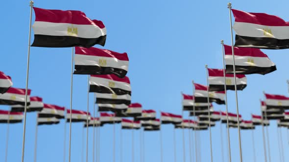 Egypt Row Of National flags Walk Throw Animation alt