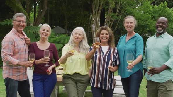 Animation of diverse happy senior female and male friends toasting with wine in garden alt