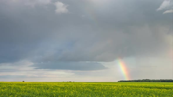 Rainbow over green field