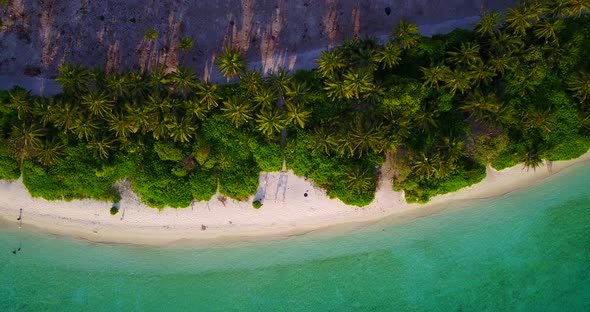 Palm trees row bordering beautiful sandy exotic beach from other part of tropical island with desert alt