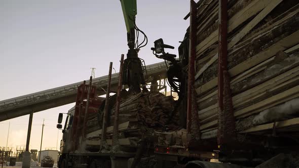 A Track Material Handler is Loading Logs Onto a Conveyor at the Factory