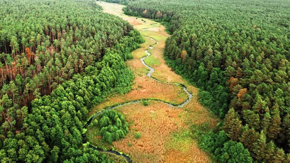 Curvy river in autumn. Aerial view of wildlife, Poland alt