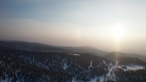 Beautiful Winter Forest in the Fog alt