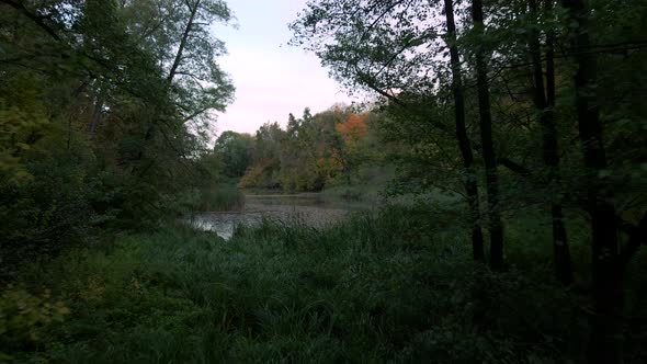 Aerial Drone Shot of Colourful Trees Over Small Lake in Autumn Forest alt