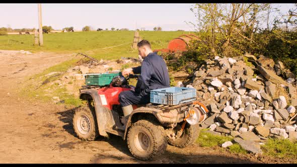Cattle farmer walking towards barn alt