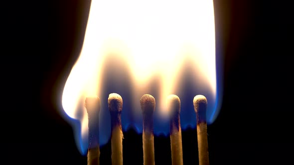 Five Matches Light Up And Burn On A Black Background