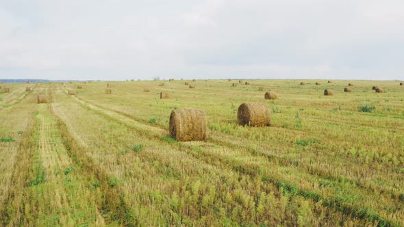 Elevated View Of Summer Hay Rolls Straw Field Landscape