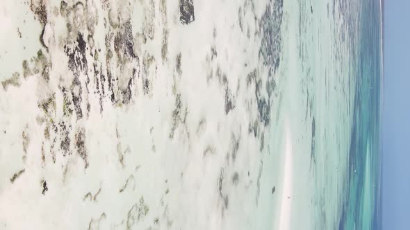 Zanzibar Tanzania  Vertical Video of Low Tide in the Ocean Near the Coast Slow Motion alt