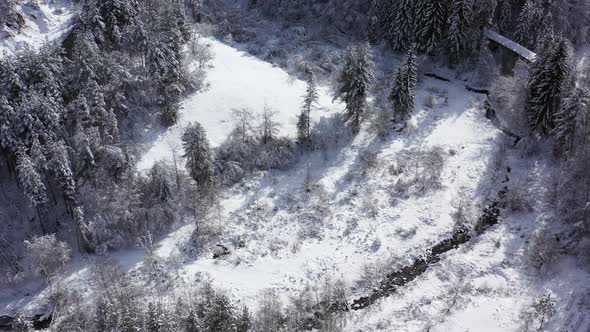 Winter Aerial View
