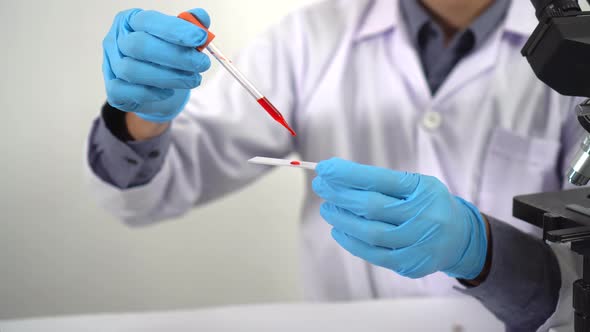 Scientists are working on research on algae and bioenergy in the energy laboratory alt