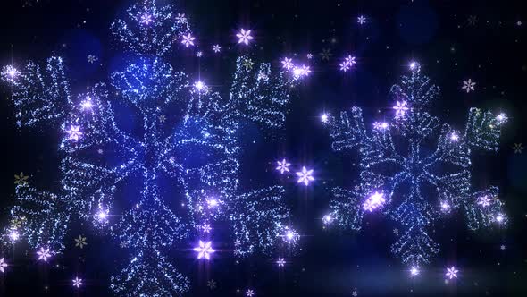 Christmas Snow Flake Glitters