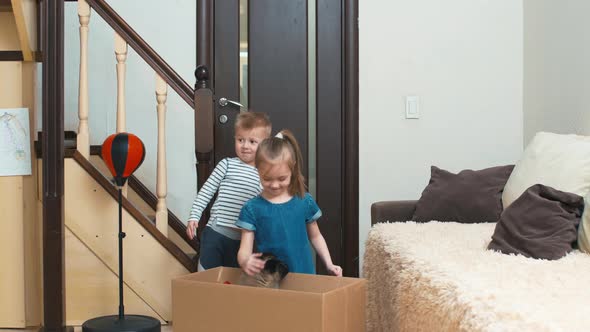 Two kids finding out box with puppy as present