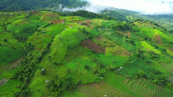 Aerial video of drones flying over rice terraces alt