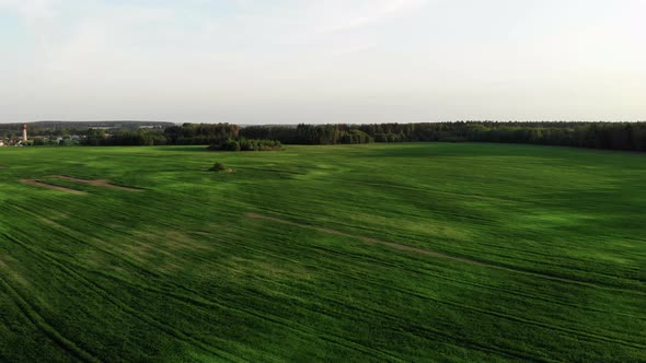 Flying Over Beautiful Country Side Landscape with Green Field, on Sunset, Aerial Shot, Drone, View