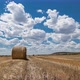 Field With Bales Of Hay And Beautiful Sky Time Lapse - VideoHive Item for Sale