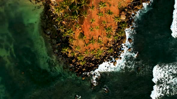 Aerial of Coconut Tree Hill, isolated palm trees. Mirissa, Sri Lanka alt