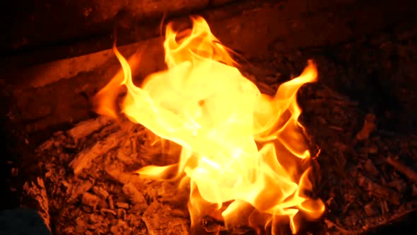 Book Pages Are Burning in Fire. Bonfire Fades Out in Slow Motion alt