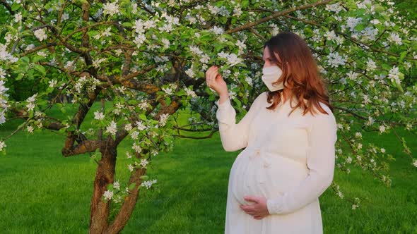 Pregnant woman in medical face mask n95 with apple tree flowers in spring nature