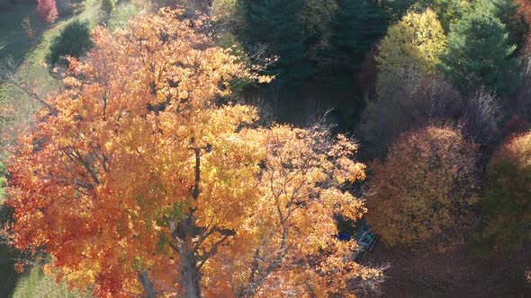 Aerial Drone Shot Flying Over Farm and Tilting Up to Reveal Fall Sunset