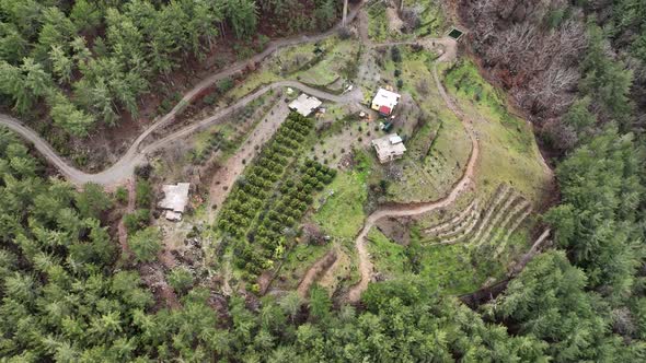 Farming on the banks of the river aerial view Alanya Turkey 4 K alt