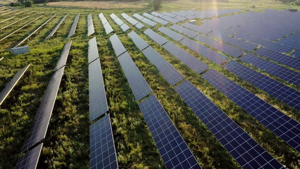 Aerial view of Solar Panels Stand At Sunrise. Flyover Fields Green Energy Landscape alt